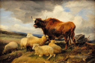 ganado vacuno y ovino en la pradera Pinturas al óleo